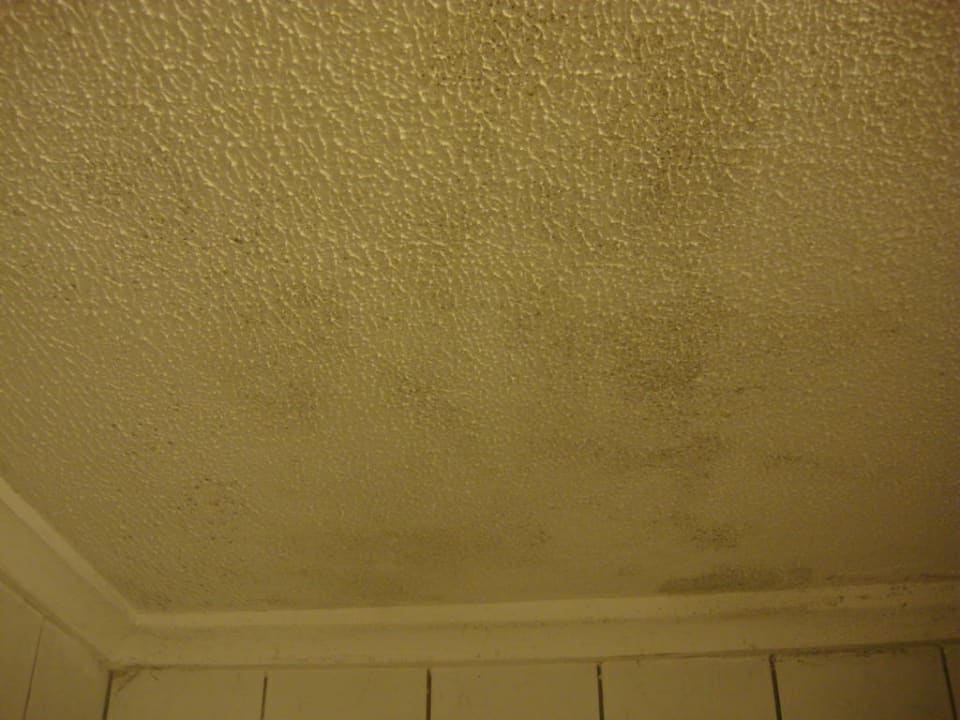 Decke Badezimmer Kamelya Aishen Club