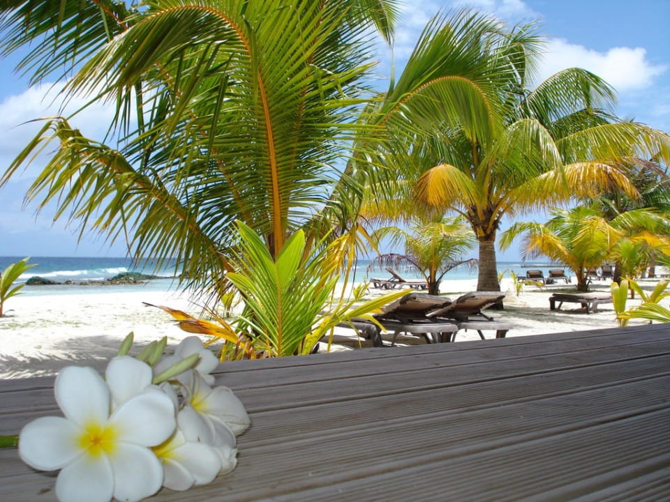 Ausblick Kuredu Island Resort & Spa