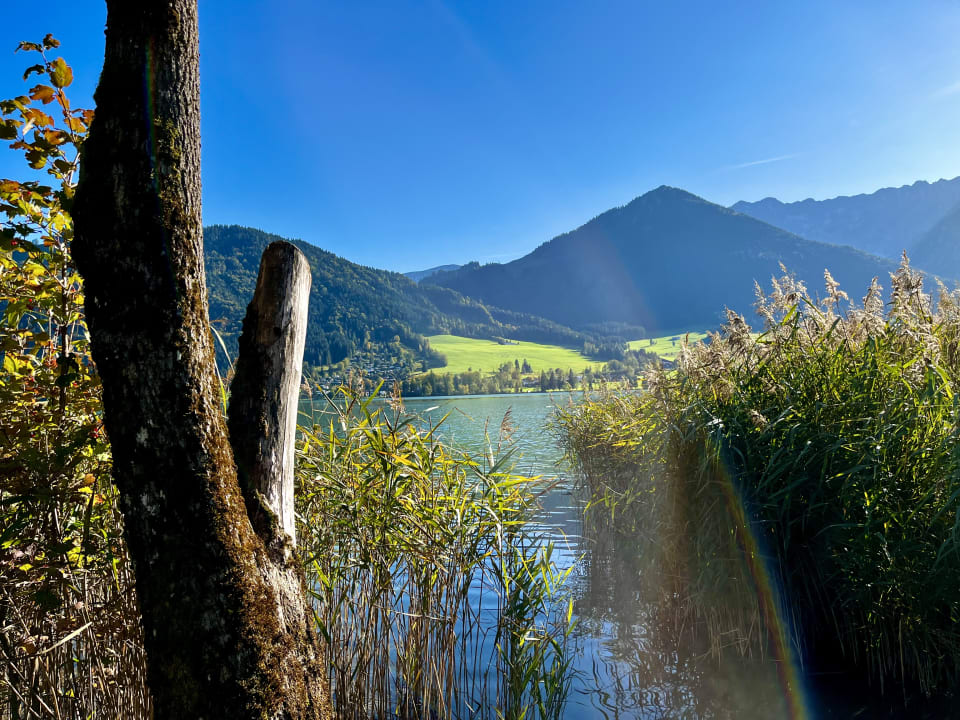 Gartenanlage Hotel Bellevue am See