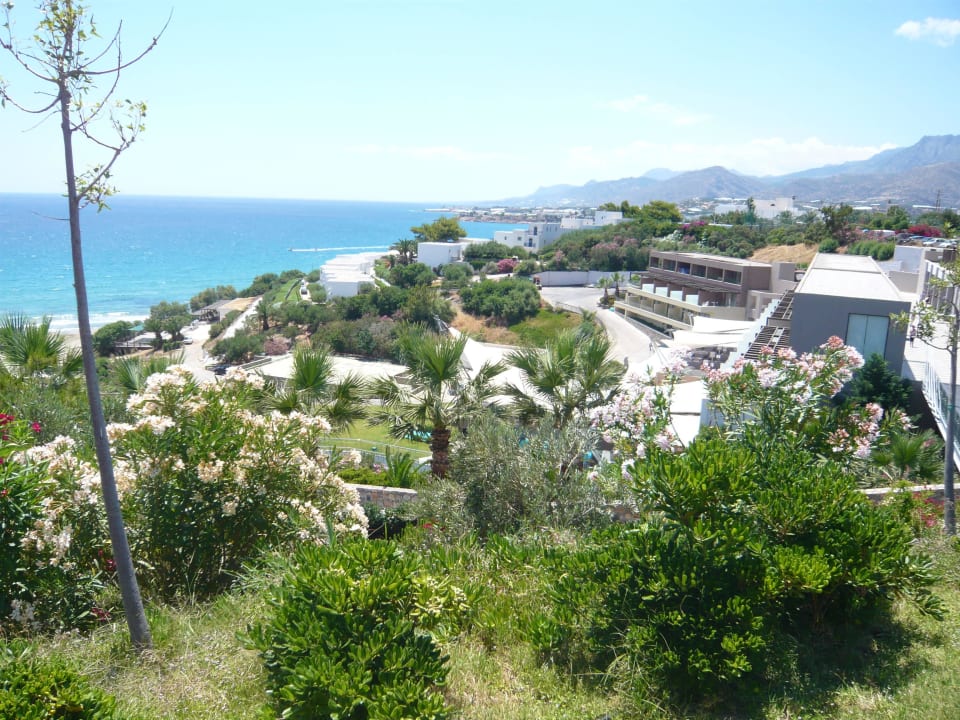 Schöne Anlage Atlantica Mikri Poli Crete