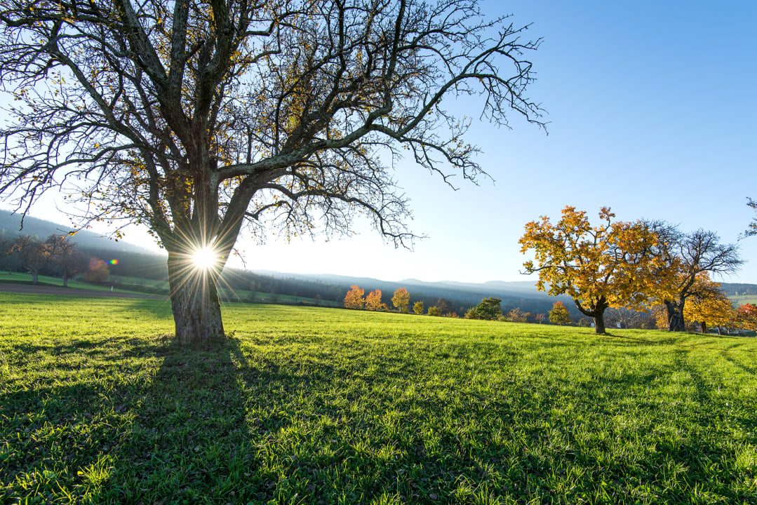Sonstiges Zur Grünen Au