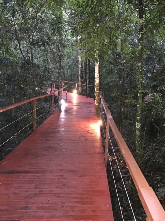 Gartenanlage Hotel La Cantera Lodge de Selva Iguazu