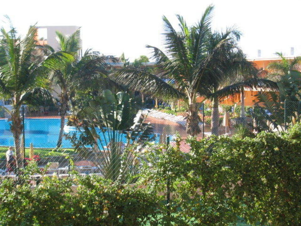 Sauberer Garten Club Hotel Drago Park