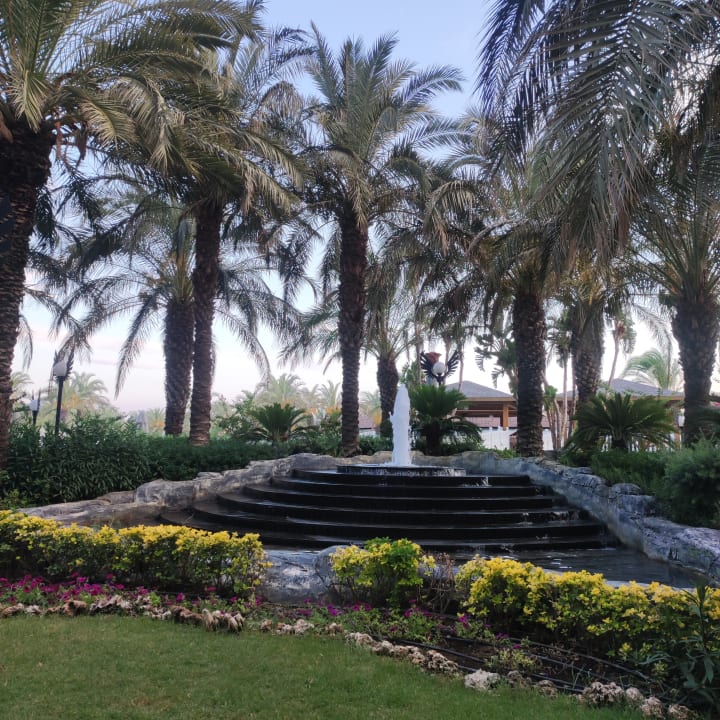 Gartenanlage Royal Wings Hotel