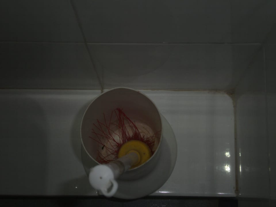 Toilettenbürste Gavimar Ariel Chico Club & Resort