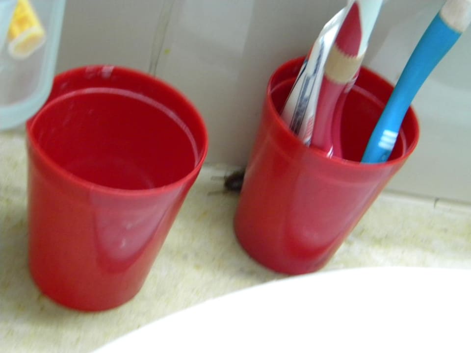 Kakerlake am Zahnputzbecher El Mouradi Club Kantaoui