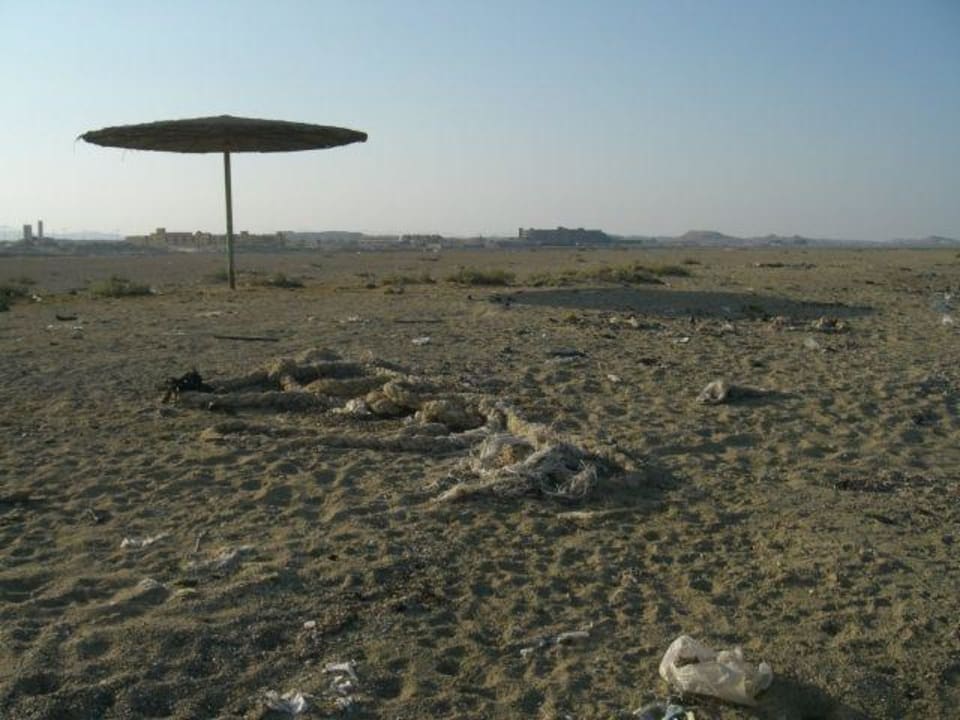 Strand Hotel Moonrise Resort