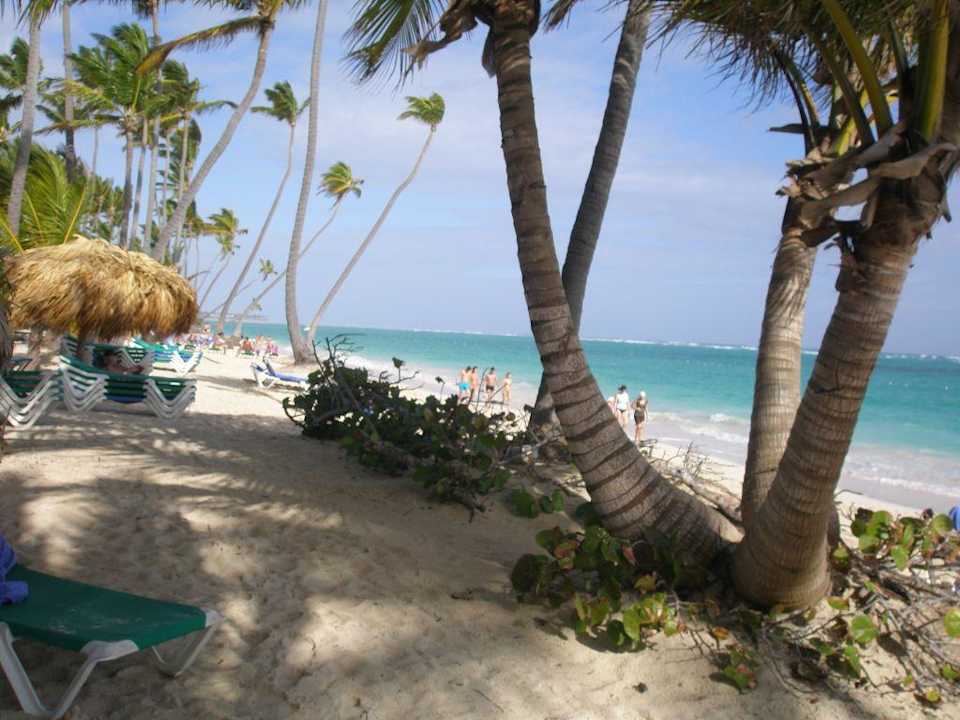 Es gibt immer genug schattige Plätze Hotel Grand Palladium Palace Resort, Spa & Casino