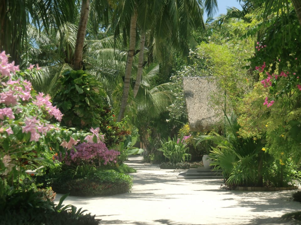Schönster Bereich vor der Main Reception Kuramathi Maldives