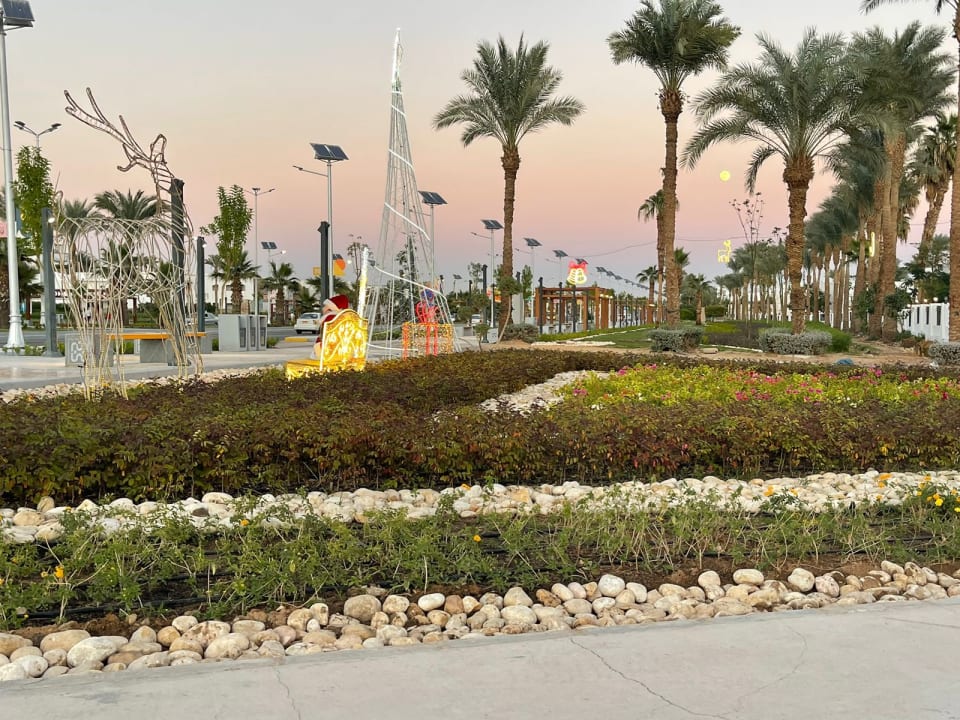 Außenansicht JAZ Sharm Dream