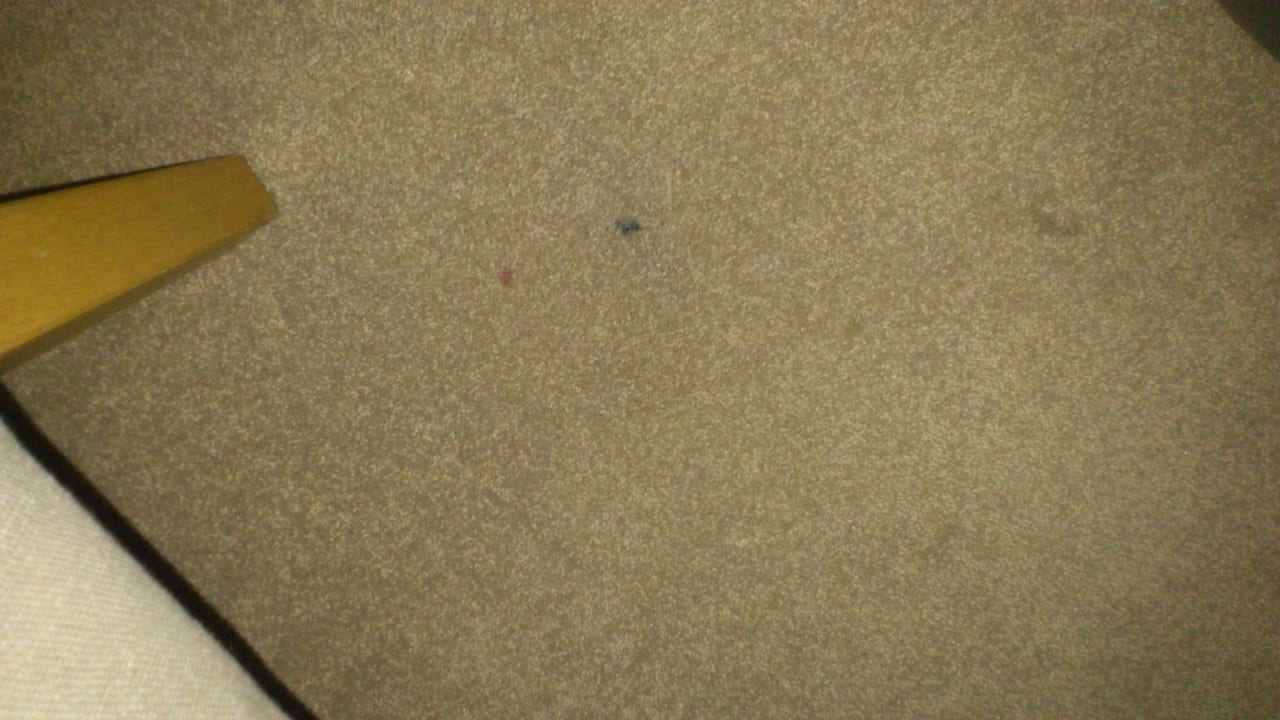 Flecken auf Teppich Hotelpark Stadtbrauerei Arnstadt