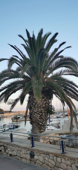 Strand Prinsotel La Pineda
