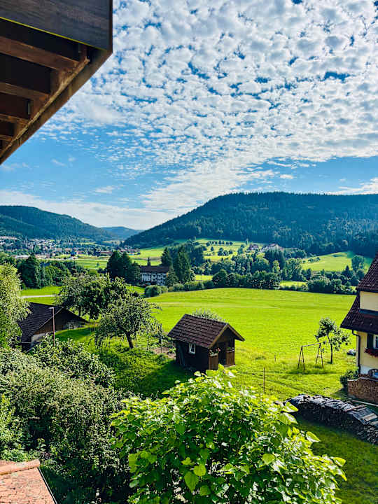 Ausblick Wellness Hotel Heselbacher Hof