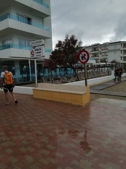 Außenansicht The Sea Hotel by Grupotel - Adults only