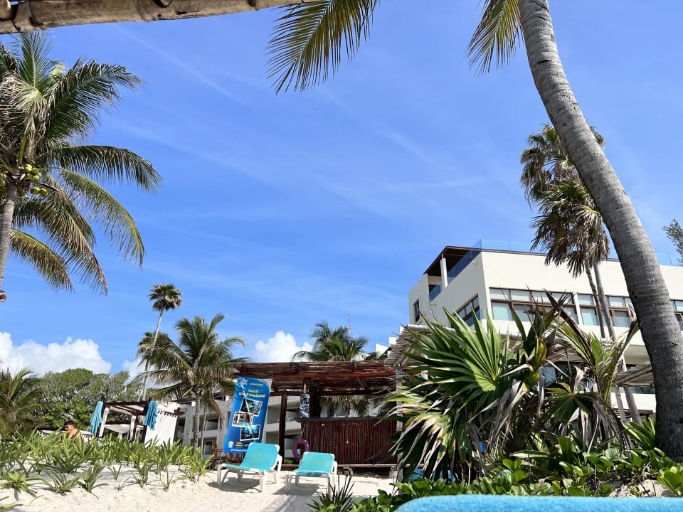 Außenansicht Akumal Bay Beach & Wellness Resort