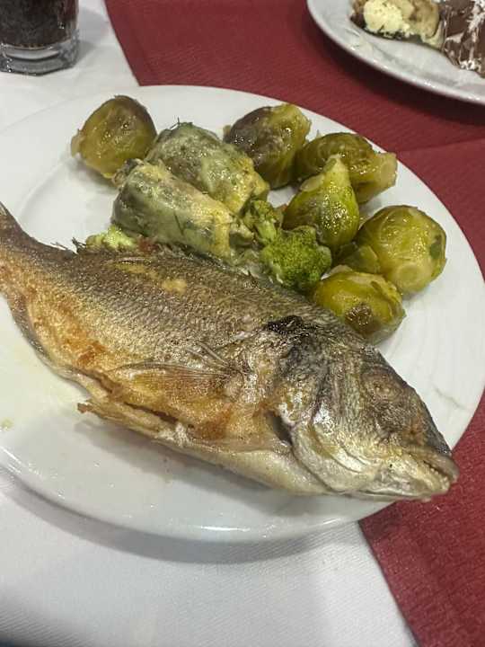 Gastro Saturn Palace Resort Hotel