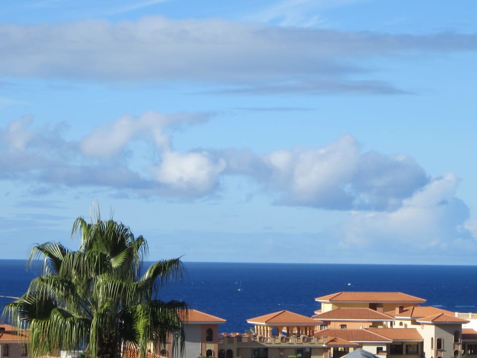 Ausblick von unserem Studio mit Meerblick Hotel El Duque