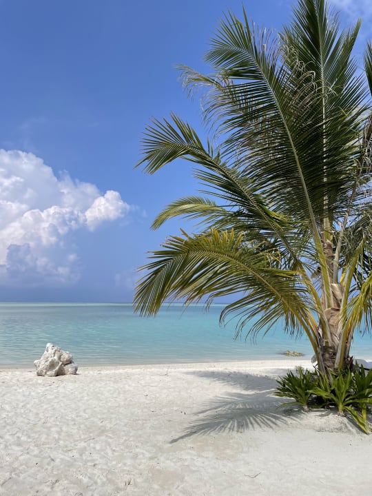 Strand Hotel Riu Atoll