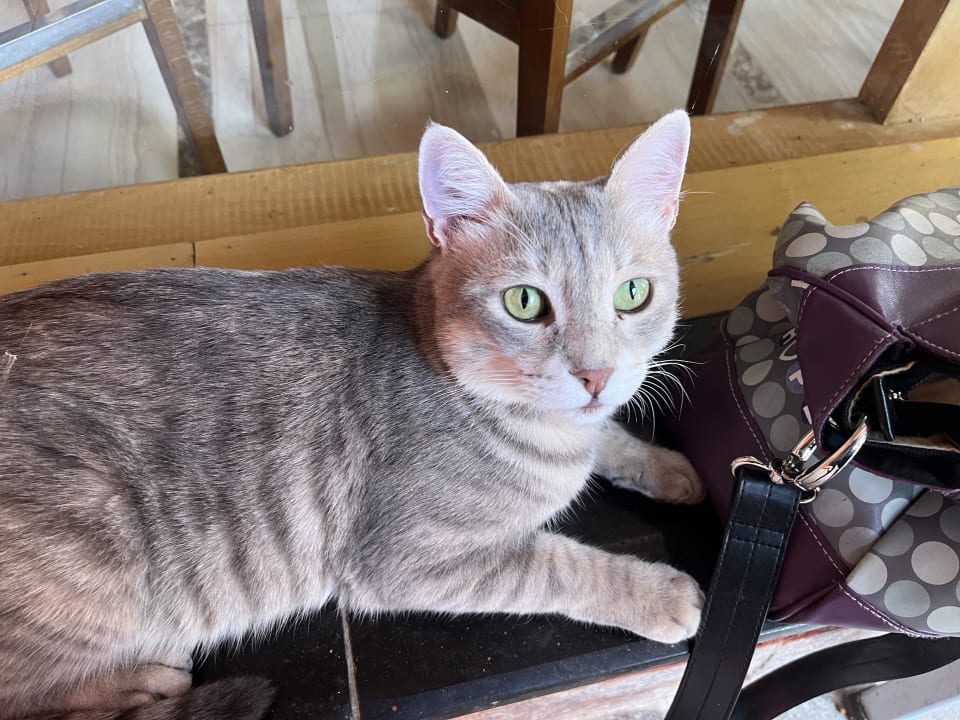 Sonstiges Pickalbatros Alf Leila Wa Leila Resort - Neverland Hurghada