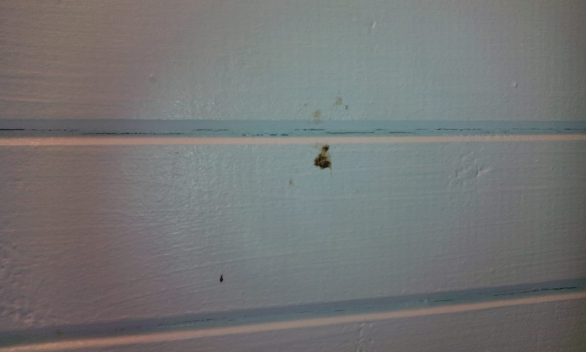 Zimmer Pension Pirnaer Elbschlösschen