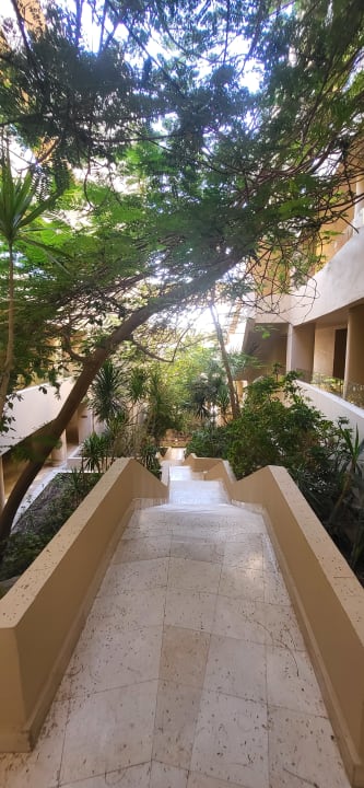 Gartenanlage Steigenberger Makadi Hotel - Adults only