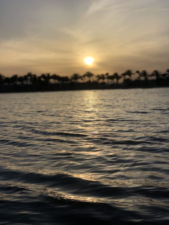 Ausblick Desert Rose