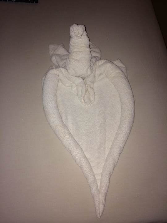 Палотенчики) Le Jardin Aqua Park Resort