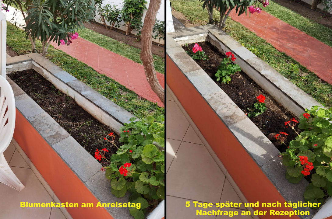 Gartenanlage HL Miraflor Suites Hotel