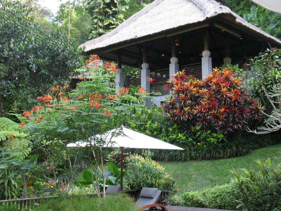 Wunderschön! Maya Ubud Resort & Spa Bali