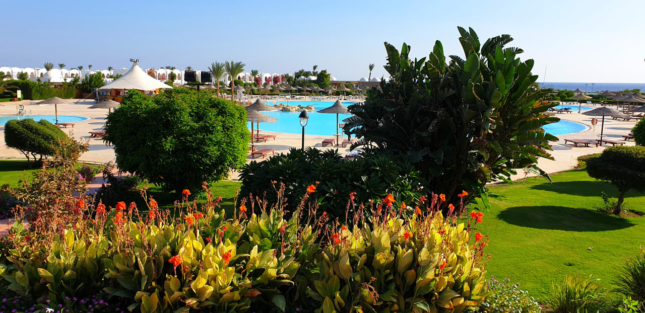 Pool Hotel Gorgonia Beach Resort