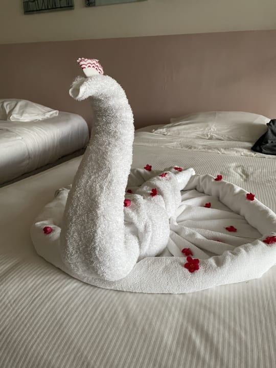 Zimmer Hilton Marsa Alam Nubian Resort