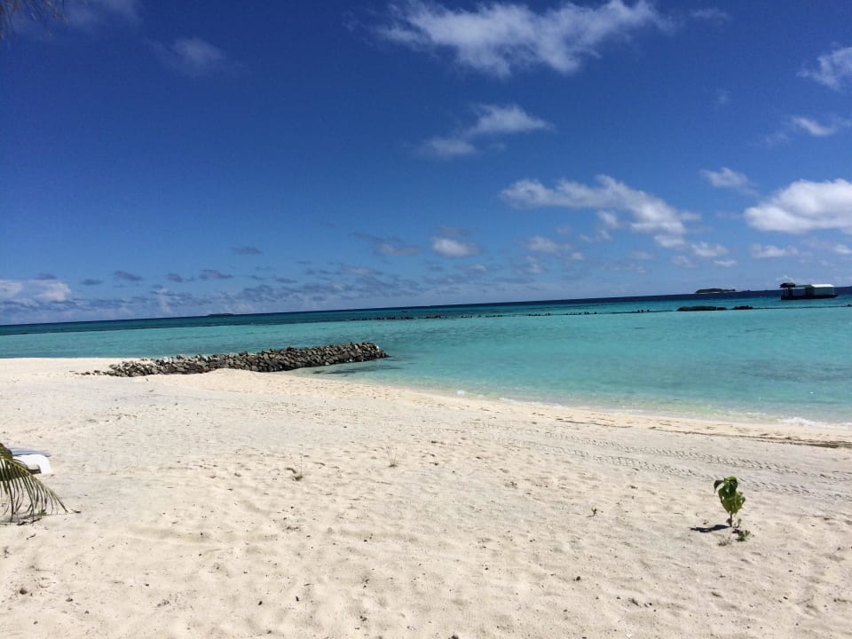 Strand Ostseite Summer Island Maldives