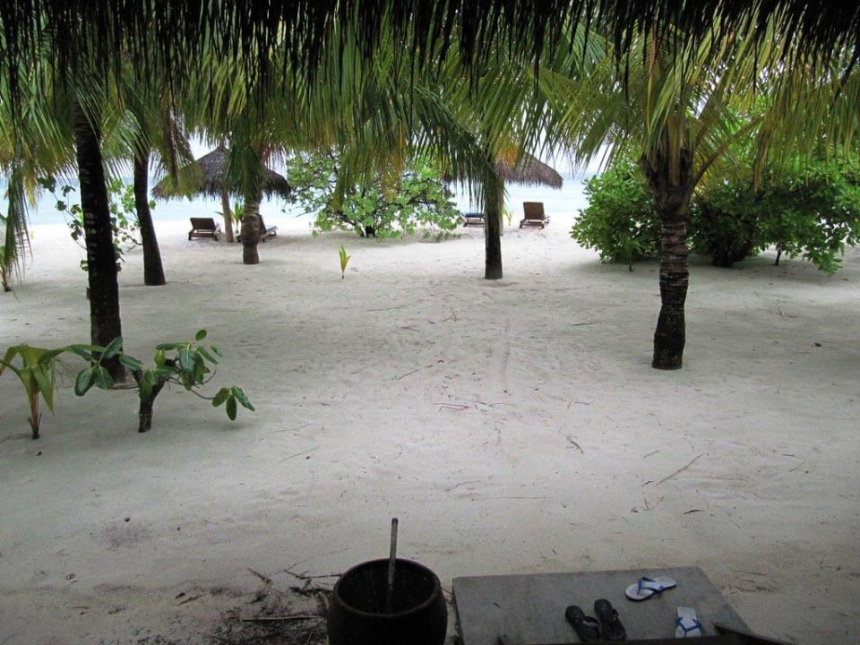 Deluxe Bungalow Filitheyo Island Resort