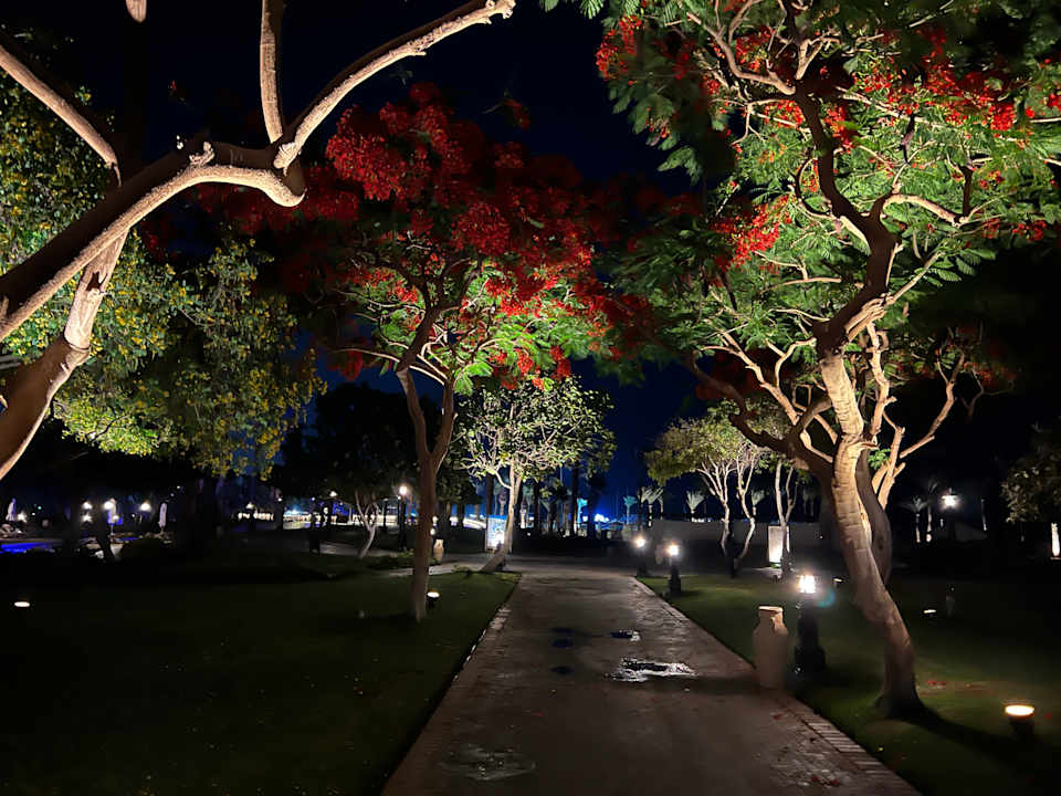 Gartenanlage Steigenberger ALDAU Beach Hotel