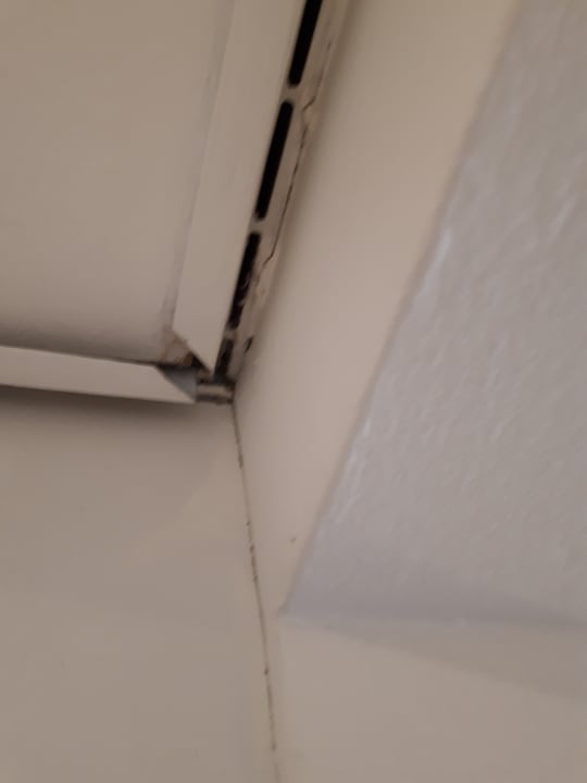 Zimmer Domes Aulūs Zante, Autograph Collection