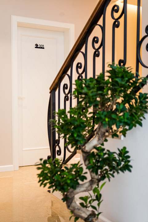 Sonstiges Hotel Bonsai