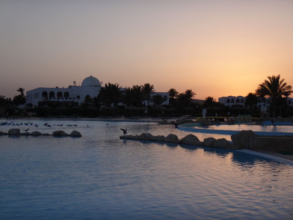 Pool Hotel Gorgonia Beach Resort