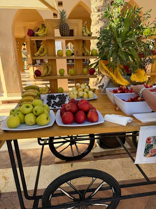 Gastro Makadi Palace
