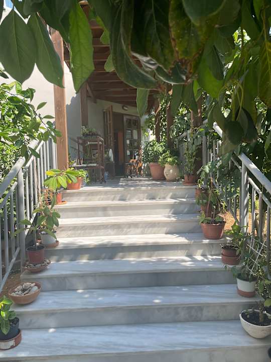 Gartenanlage Hotel Kathrin Beach