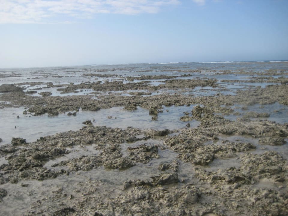 Zertrampeltes Riff mit Blick auf das offene Meer Neptune Pwani Beach Resort & Spa