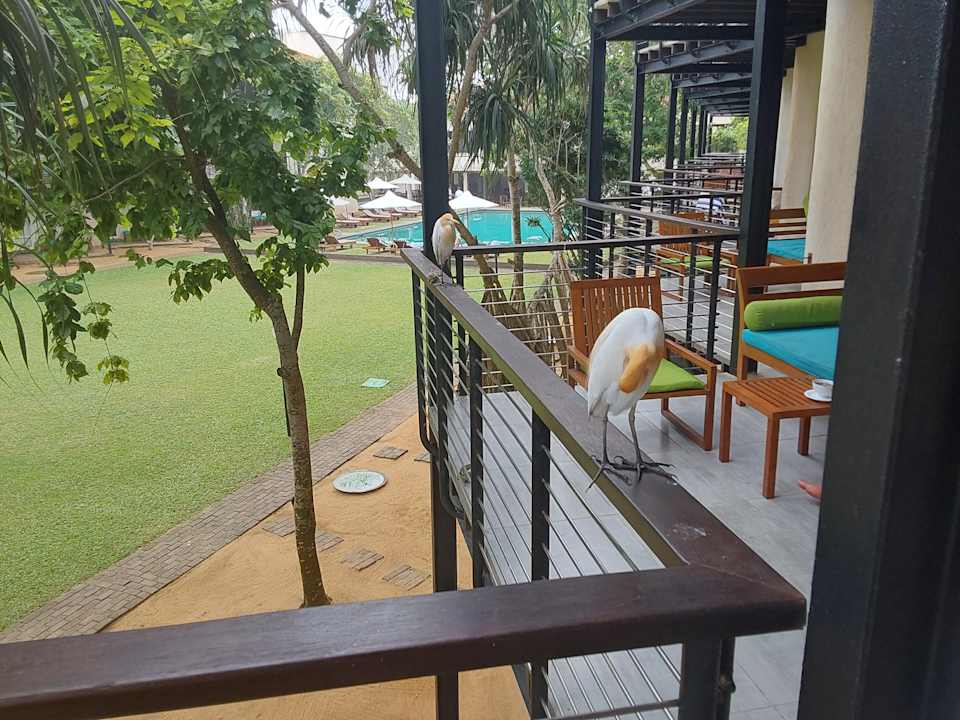 Ausblick Mermaid Hotel & Club