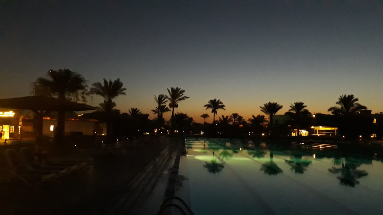 Außenansicht Desert Rose