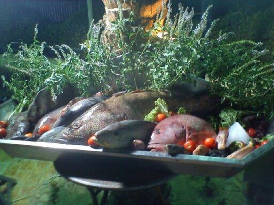 Showbüffet Pickalbatros Alf Leila Wa Leila Resort - Neverland Hurghada