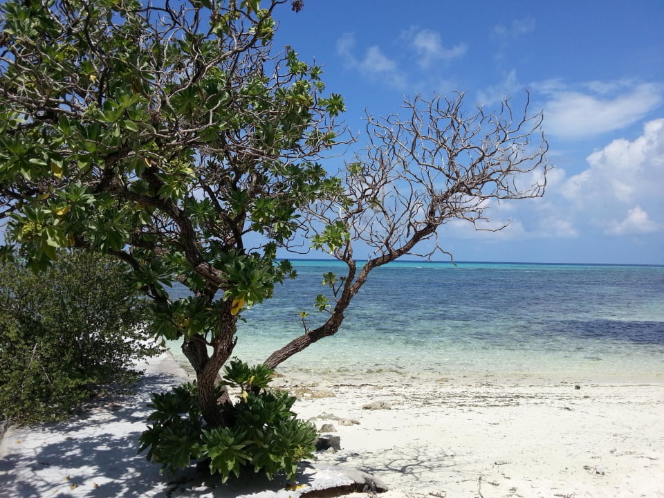 Strand Adaaran Select Hudhuran Fushi - Premium All Inclusive