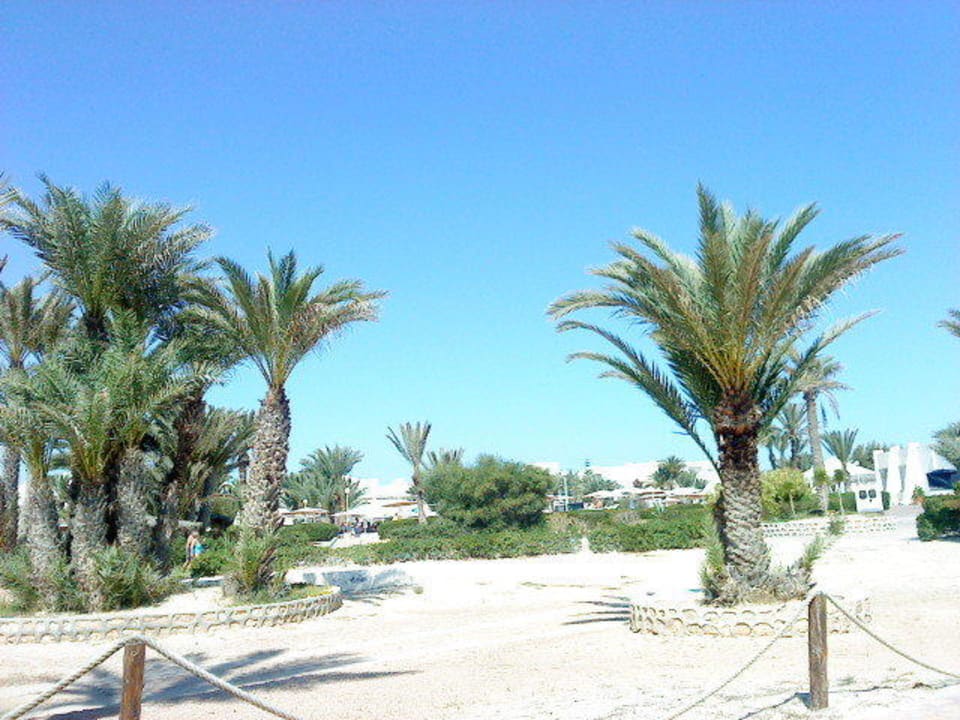 Gartenanlage Hotel El Mouradi Djerba Menzel