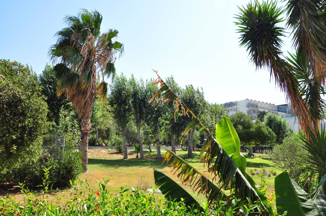 Widok z pokoju Kipriotis Hippocrates Hotel