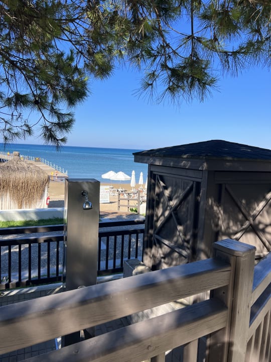 Strand PALOMA Perissia