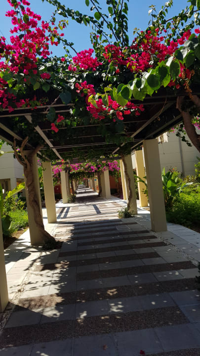 Gartenanlage Astir Odysseus Kos Resort & Spa