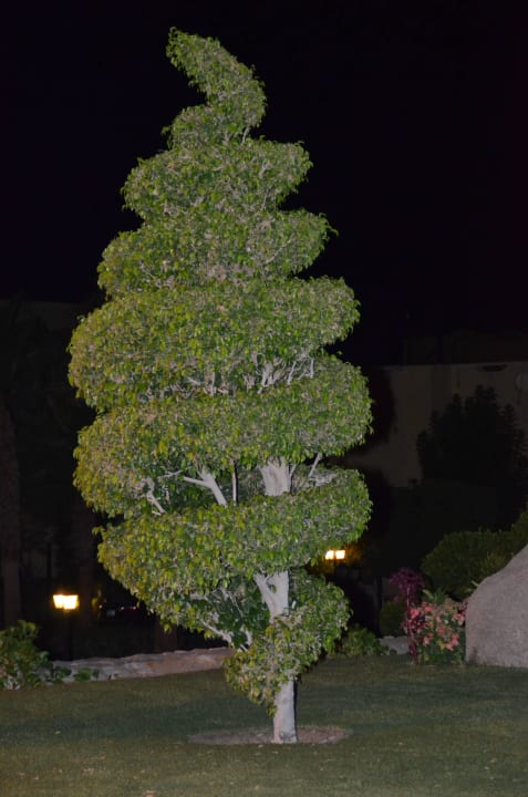 Gartenanlage Jaz Dar EL Madina
