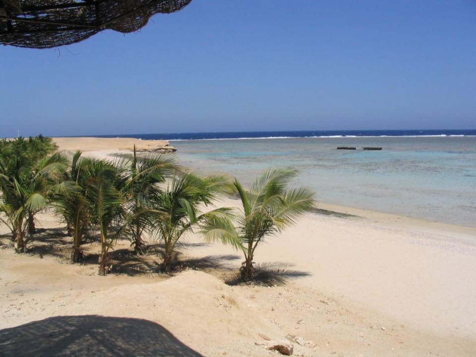 Beach vom Steg links Hotel Mangrove Bay Resort